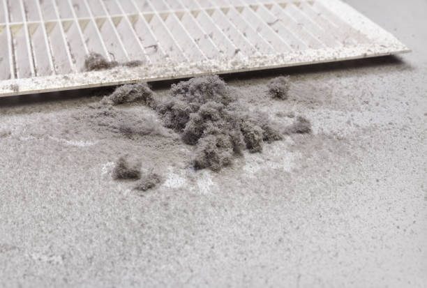 Best Local Air Duct Cleaning Services  in Heyville, AL